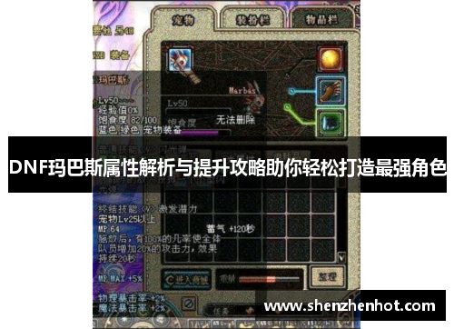 DNF玛巴斯属性解析与提升攻略助你轻松打造最强角色